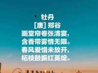 湖南金手指咨询策划有限公司