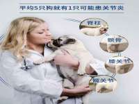 湖南金手指咨询策划有限公司