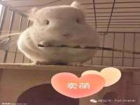 湖南金手指咨询策划有限公司