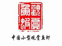 湖南金手指咨询策划有限公司