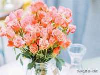 湖南金手指咨询策划有限公司