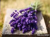 湖南金手指咨询策划有限公司